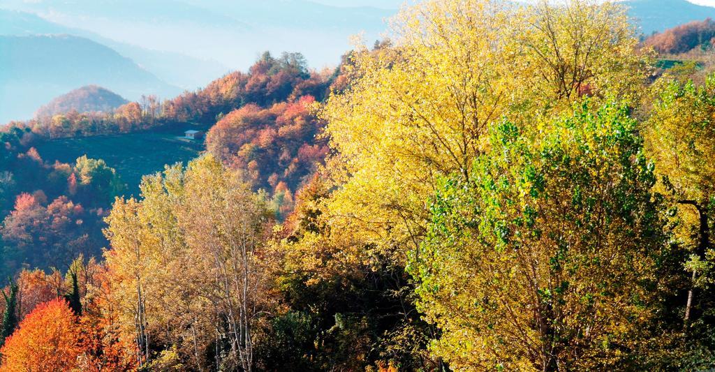 CastinoBorgo San Rocco Piemonteアパートメント エクステリア 写真